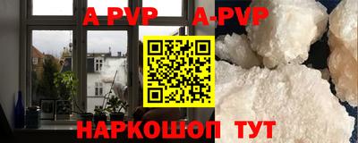 гашик Новозыбков