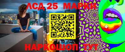 гашик Новозыбков