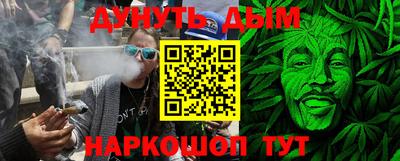 гашик Новозыбков