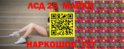 гашик Новозыбков