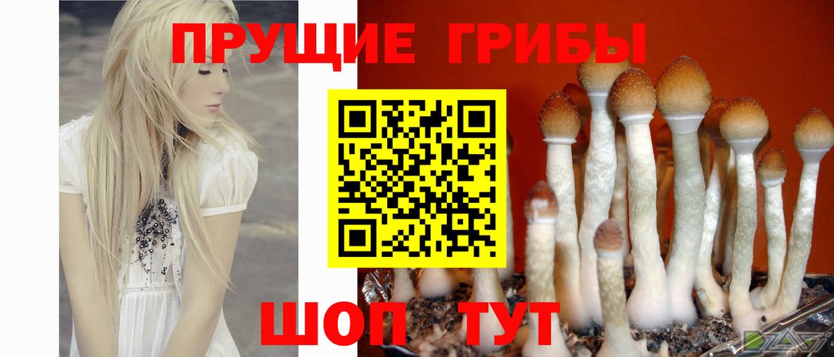 Галлюциногенные грибы ЛСД  Вход с VPN  Псилоцибиновые грибы мицелий  Ханты-Мансийск 
